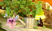 Erste Balkon-Blumen-Saison! / ***