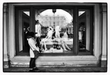 Reflexion der Feder / ***