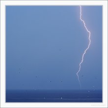 Gewitter und Möwen / ***