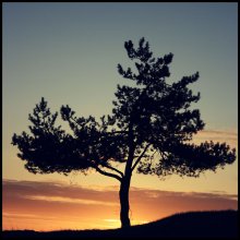 Sonnenuntergang / ***