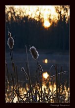 Das Schweigen der aufgehenden Sonne / ***