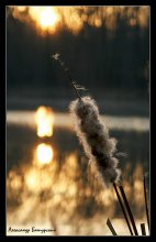 Im Gespräch mit der Sonne / ***