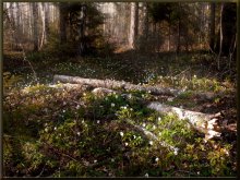 Walk? / *****