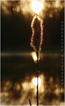 Solar Auftakt / ***