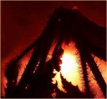 Solar Octopus / ***