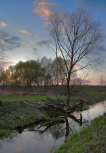 Senkova - Runov. Abend / ***