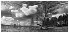 wo Birken rauschen ... / ***