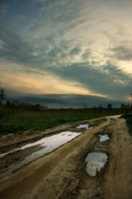 Homeward Bound / ***