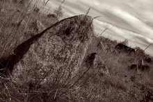 Geworfen / ***