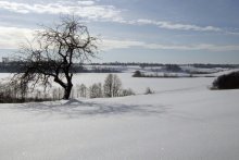 Belarus, Witebsk / ***