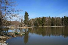 Frühling auf dem See. / ***