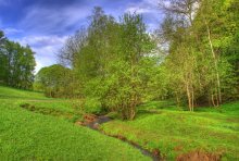 Waldbach / ***