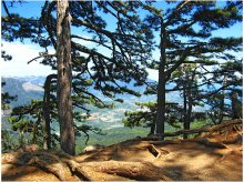 Krim-Landschaft / ***