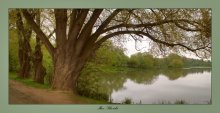 Alter Park / ***