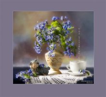 Stillleben / ***