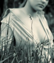 fast Sommer / ***