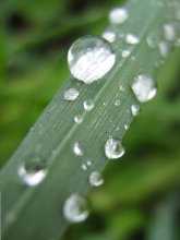 Regen / ***