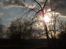 Mai-Abend / ***