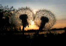 "Gute Nacht" - "und auch Sie" ... / ***