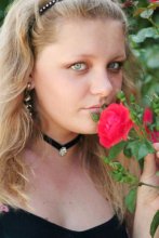 Muse und die Rose / ***