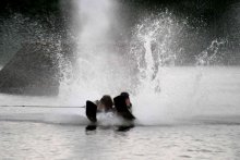 Wasserung / ***
