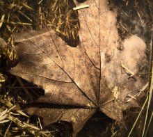 Herbst: weit und breit ... / ***