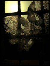 Ebenda. . . / ***