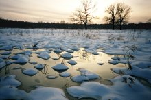 Breath of Spring / ***