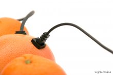 Direct orange connection / ***