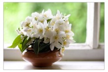 for you... / ***