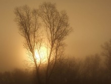 Über Nebel / ***