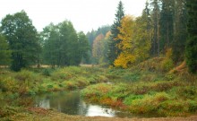 Herbst Romantik Augen Charme .. / ***