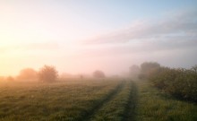 Aus dem Nebel / _______________*