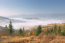 .............. Morgendlicher Frische ............. / ***