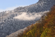 Autumn vs. Winter 2 / ***