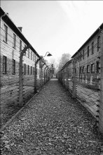 Arbeit macht frei / ***