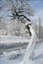 Winter-Studie / ***