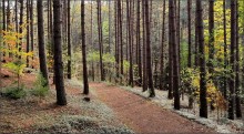 Ganaraska / ***