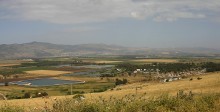 GOLAN / ***