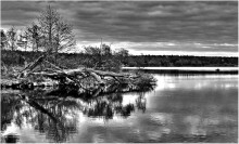 Im letzten Herbst / ***