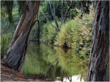 Stille und Ruhe .... / ***************