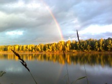 Regenbogen / ***