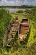 Quiet Harbor / ........