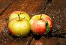 Äpfel / ***