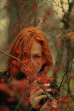 red Herbst / ________