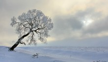 Winter-Einsamkeit / ***