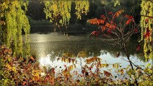 Autumn Geheimnisse / .................
