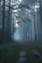 Unexplored Ecken / ....................