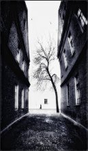 Nachbarschaft / ......