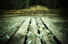 Rushes / ***